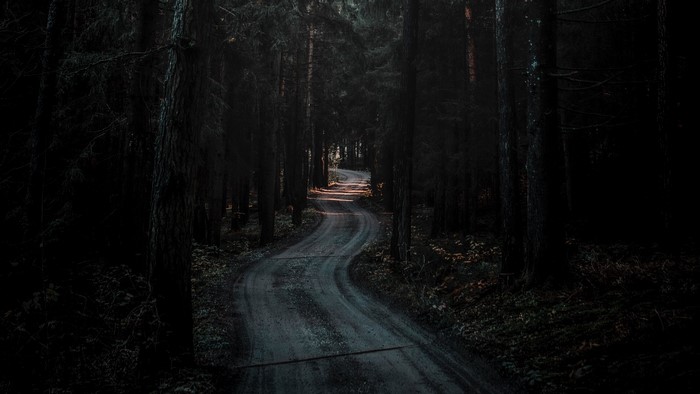 Winding road through a dark forest