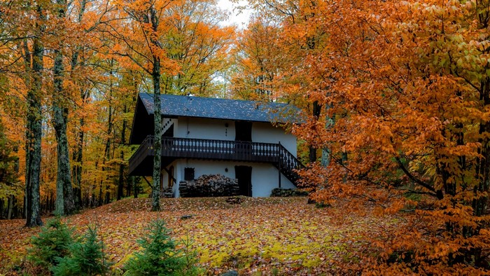 Autumn landscape with a house in the woods