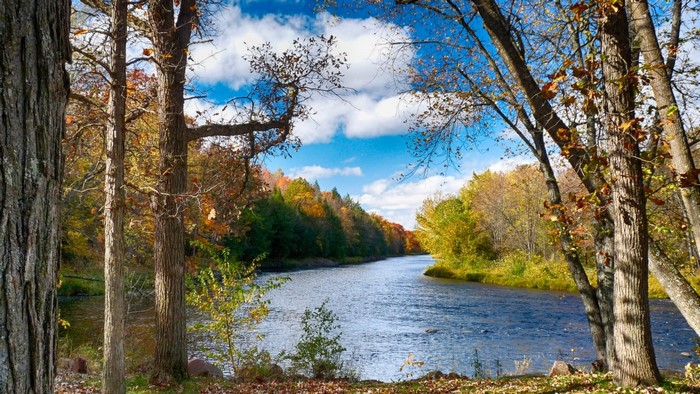 Autumn landscape with river and trees