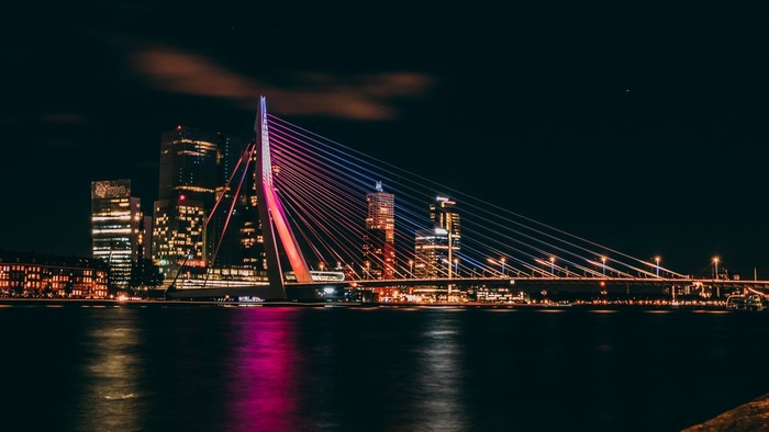 Night view of Erasmus Bridge and Rotterdam skyline