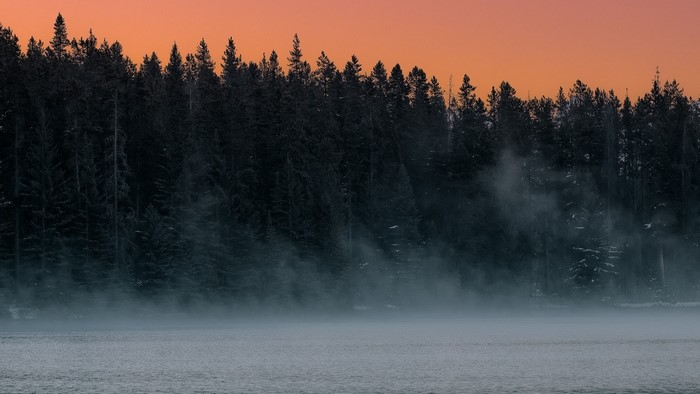 Misty forest by a lake at sunset