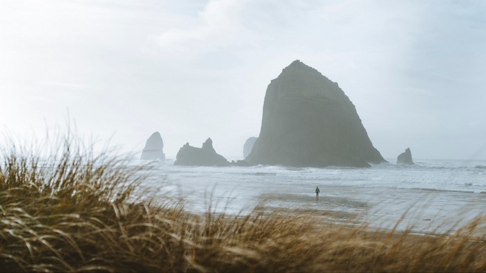 Person walking on beach with Haystack Rock