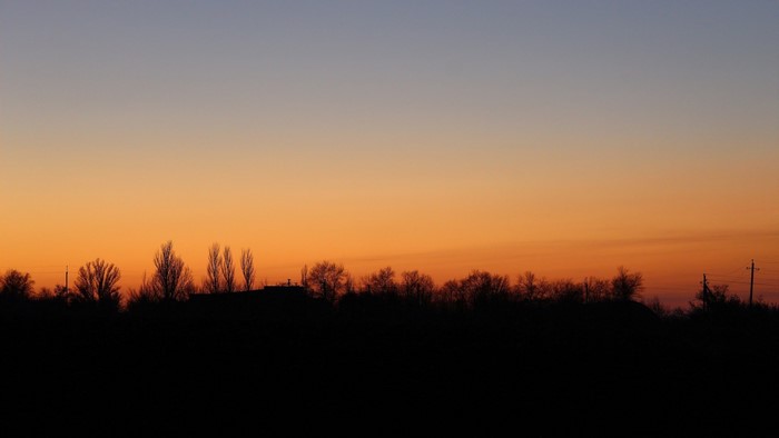 Silhouette of trees and buildings at sunset
