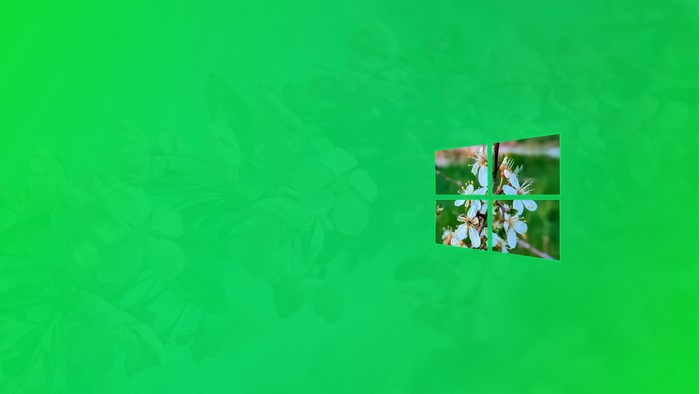 Windows logo with white flowers