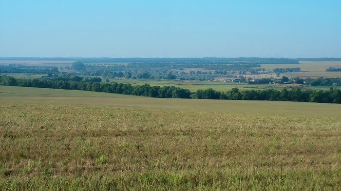Summer landscape with fields and trees