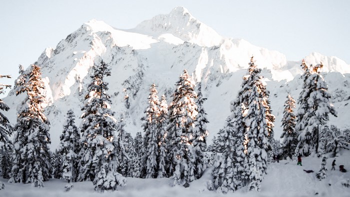 Snowy mountain landscape with pine trees