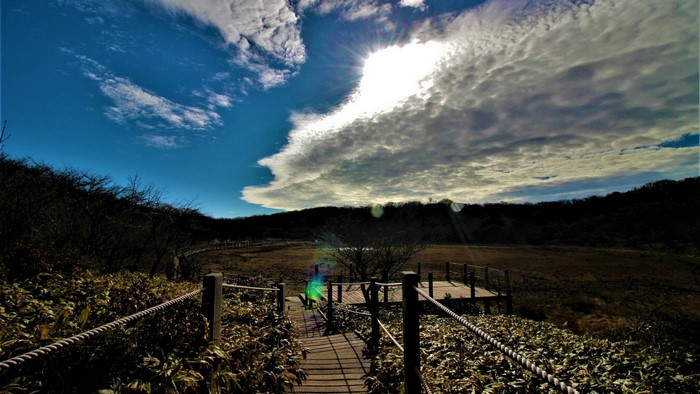 Wooden walkway through a marshy landscape under a cloudy sky