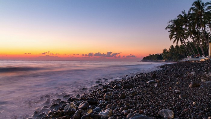 Beach with palm trees at sunset