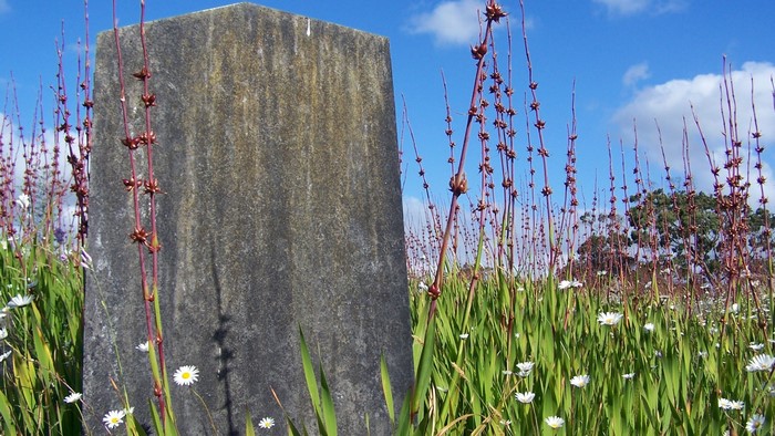 Stone monument in a field of flowers