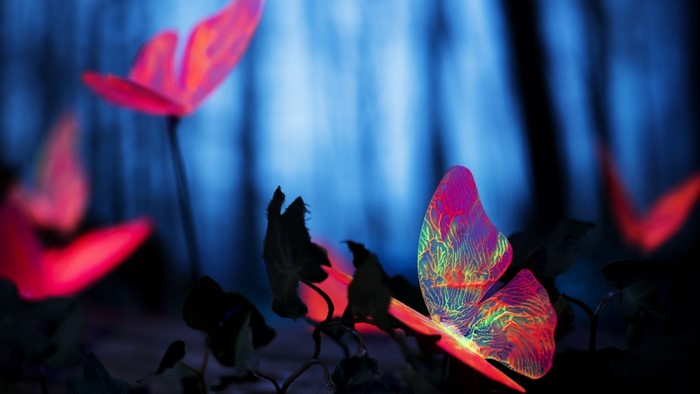 Glowing Butterflies in a Dark Forest