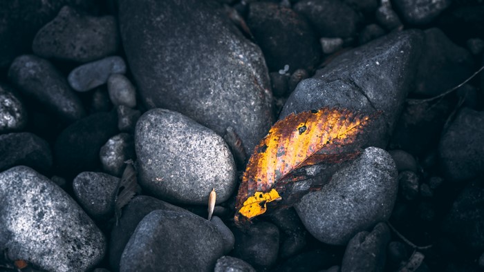 4K Stones and a Fallen Leaf