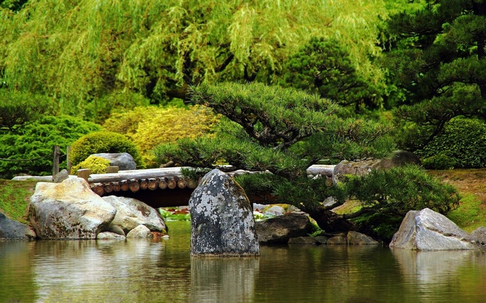 Japanese garden with a pond and bridge