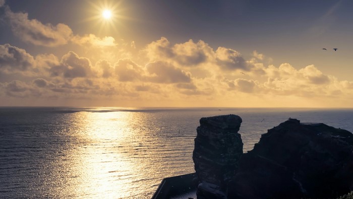Sunset over the sea with cliffs and birds