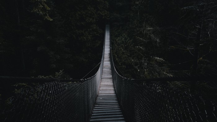 Rope bridge in a dark forest