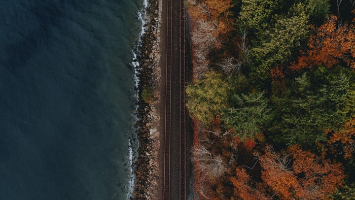 Aerial view of train tracks by the coast and autumn forest