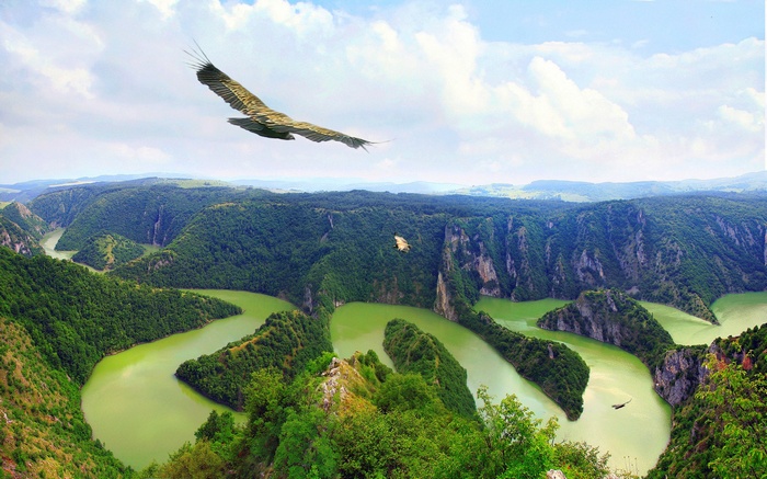 Birds flying over a winding river canyon