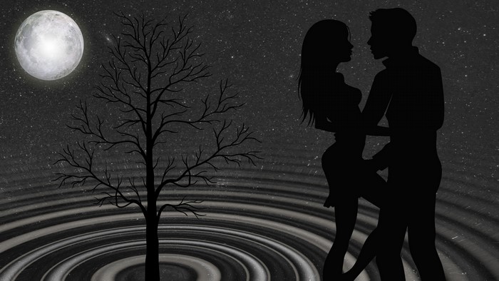 4K Couple Silhouettes Under the Moon