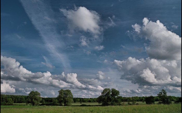 Grassy field with trees and dramatic clouds