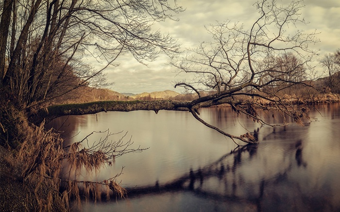 Bare tree branches over a calm river with hills in the distance