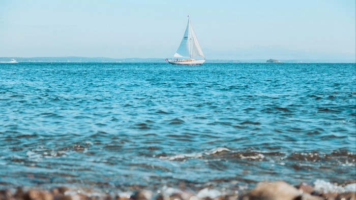 Sailboat on the water