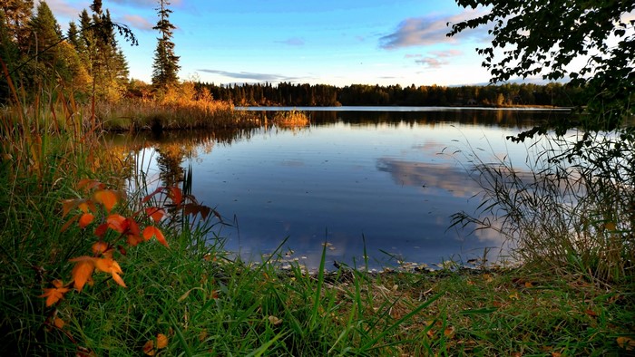 4K Lake with Autumn Trees and Reflections