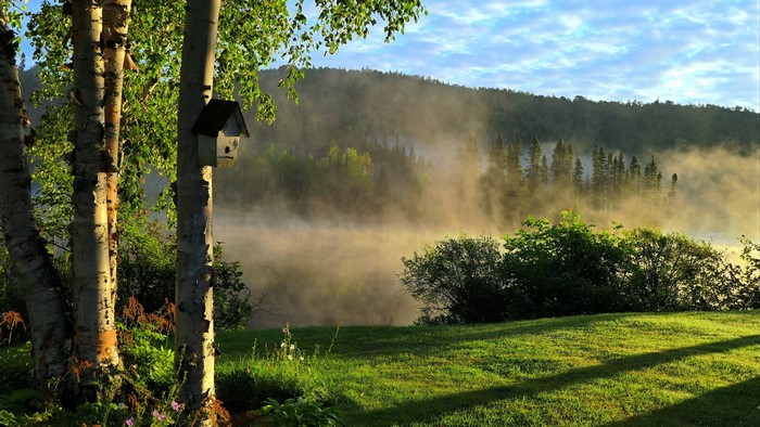4K Nature Landscape with Fog