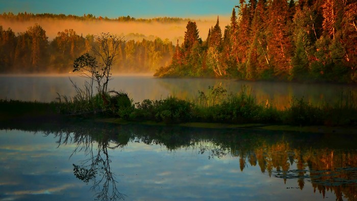 4K Sunrise Over Misty Forest Lake