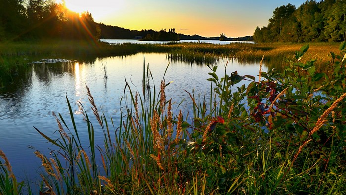 Sunset over a lake with reeds