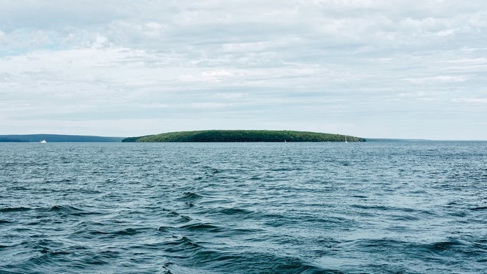 Island covered in trees in the middle of the sea