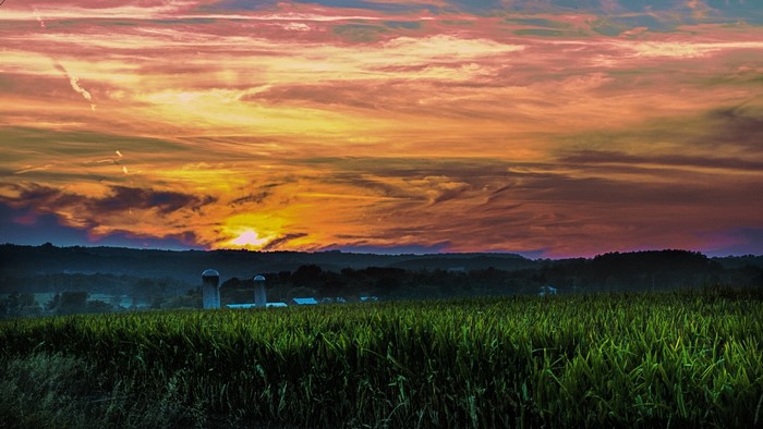 Sunset over a cornfield with silos