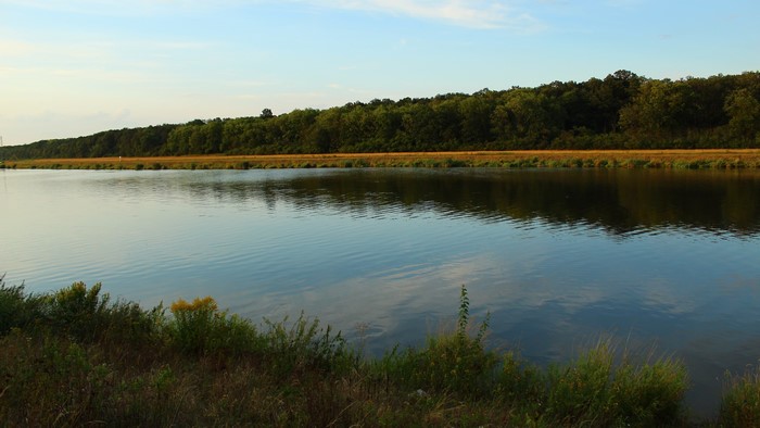 4K Nature Landscape with Water and Trees