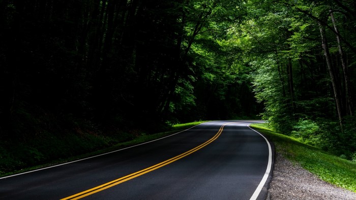 Road through a dense green forest