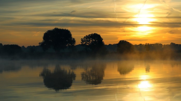 Sunrise over a misty lake with trees