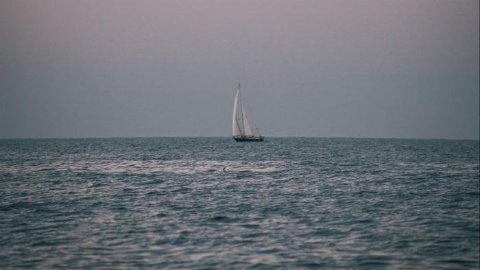 Sailboat on the ocean