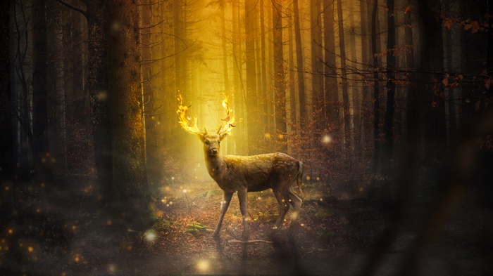 Deer with flaming antlers in an autumn forest