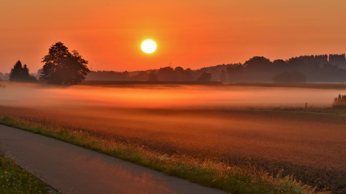 4K Morning Sunrise Over Foggy Field