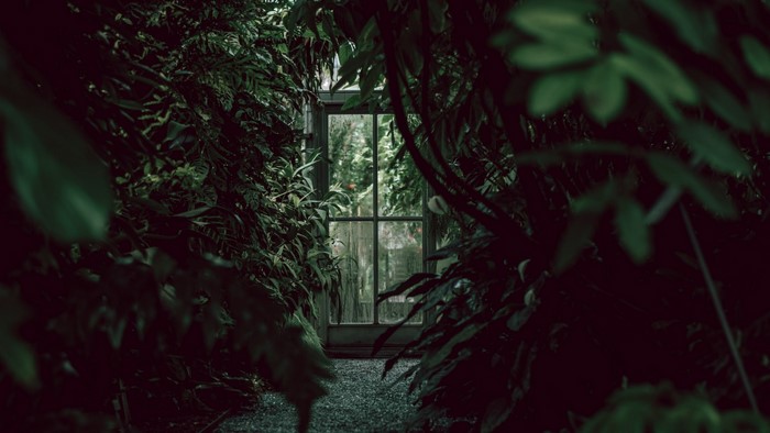 Greenhouse door surrounded by plants