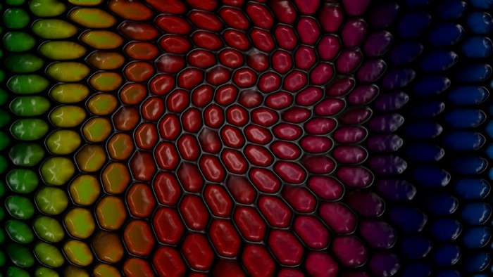 Abstract rainbow snake skin pattern