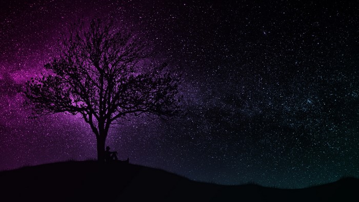 Silhouette of a person under a tree against a starry sky
