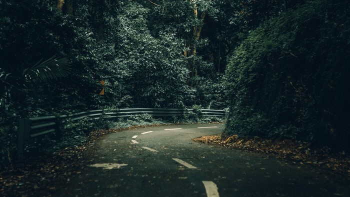 Winding road through a dense forest