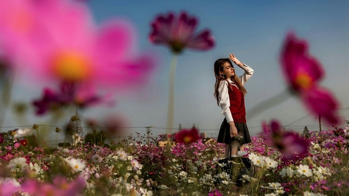 Girl in a field of flowers