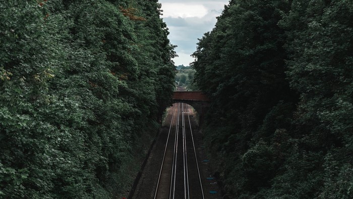 Railway tracks passing under a brick bridge surrounded by trees