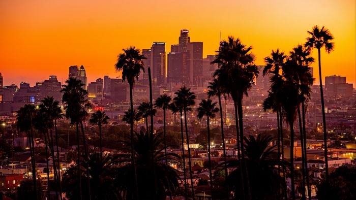 Los Angeles skyline at sunset with palm trees