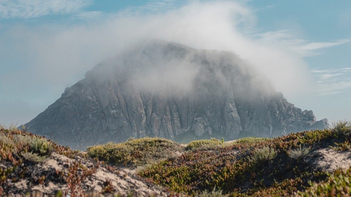 Mountain shrouded in fog with coastal plants