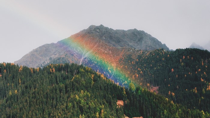 Rainbow over a forested mountain