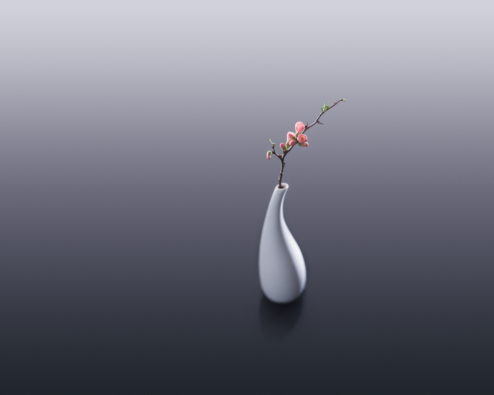 Minimalist white vase with pink flowers