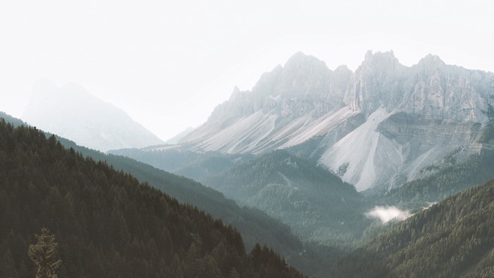 Misty mountain slopes with pine forest