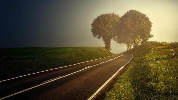 4K Road with Trees and Field