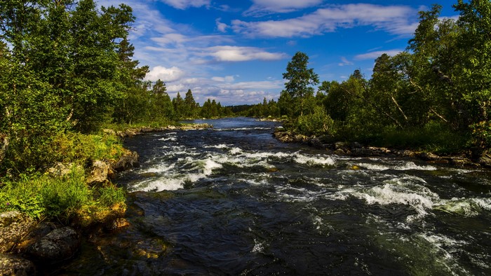 4K River with Trees and Blue Sky