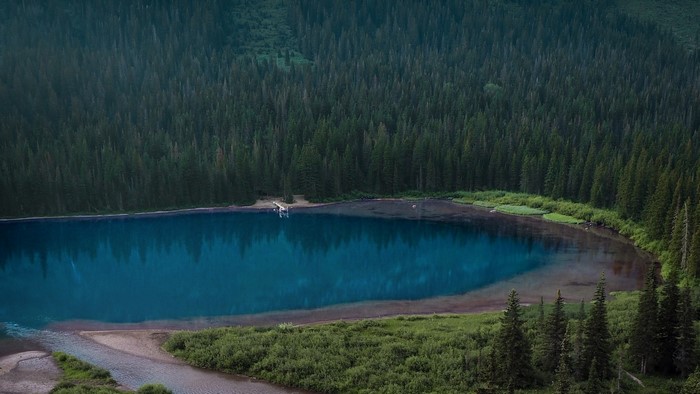 Blue lake surrounded by a dense forest